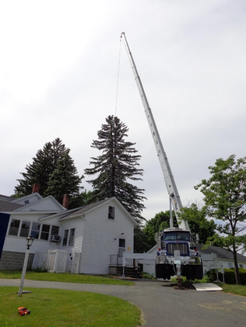 Tree removal in the Berkshires, Tree trimming in the Berkshires, Tree pruning in the Berkshires